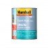 Marshall Export Aqua 1л