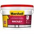 Marshall Фасад + 2,5л