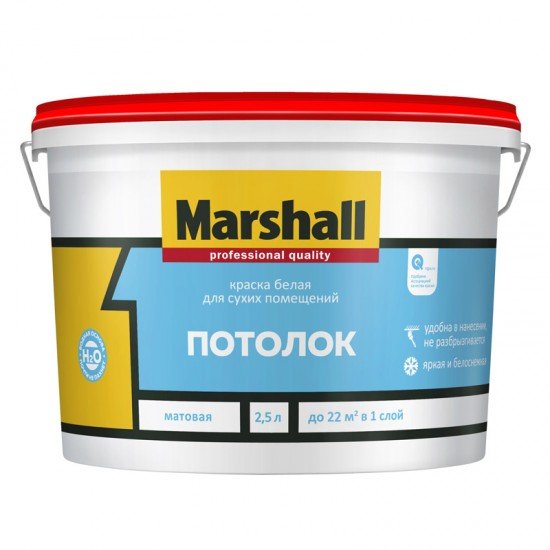 Marshall Потолок 2,5л
