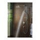 Термостат hansgrohe ShowerSelect S для душа 15743000, хром