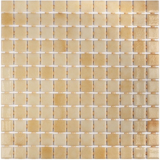 504 DOT