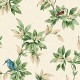Andrea Rossi Arlequin 54304-2